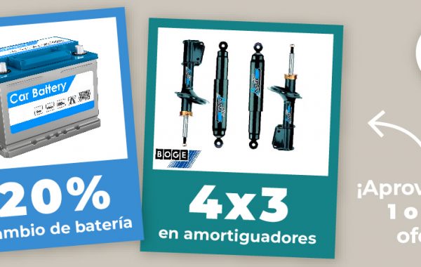 imagen oferta doble bateria amortiguadores febrero 24